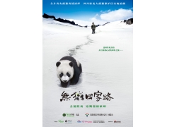 熊猫回家路电影海报PSD分层素材