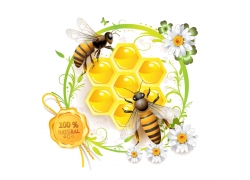蜜蜂与蜂蜜卡通素材