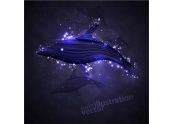 梦幻海豚设计素材