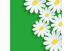 白色立体花朵和绿色背景