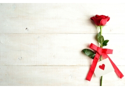 木板与玫瑰花