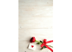玫瑰花与木板背景